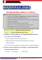 kutaa 7ffaa.pdf